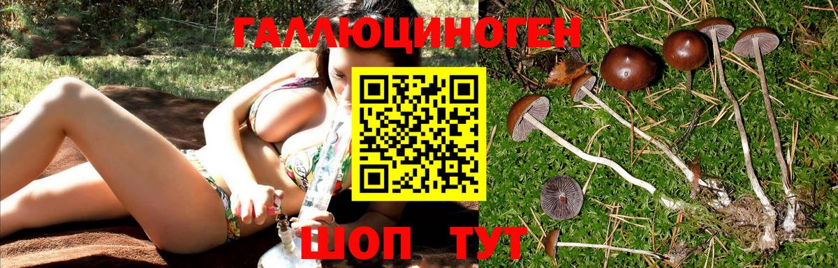 Галлюциногенные грибы MAGIC MUSHROOMS Алапаевск