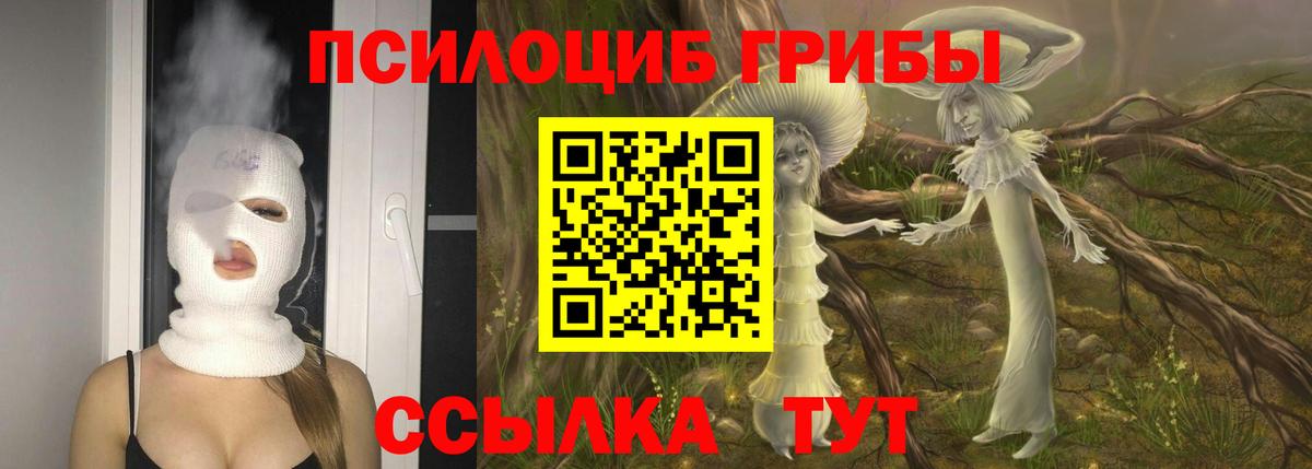 Алапаевск  дарнет шоп  Вход с VPN  Галлюциногенные грибы Psilocybine cubensis 